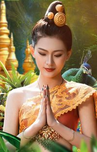 匠心云南丨昆明大理丽江双飞一动/三动纯玩6日游